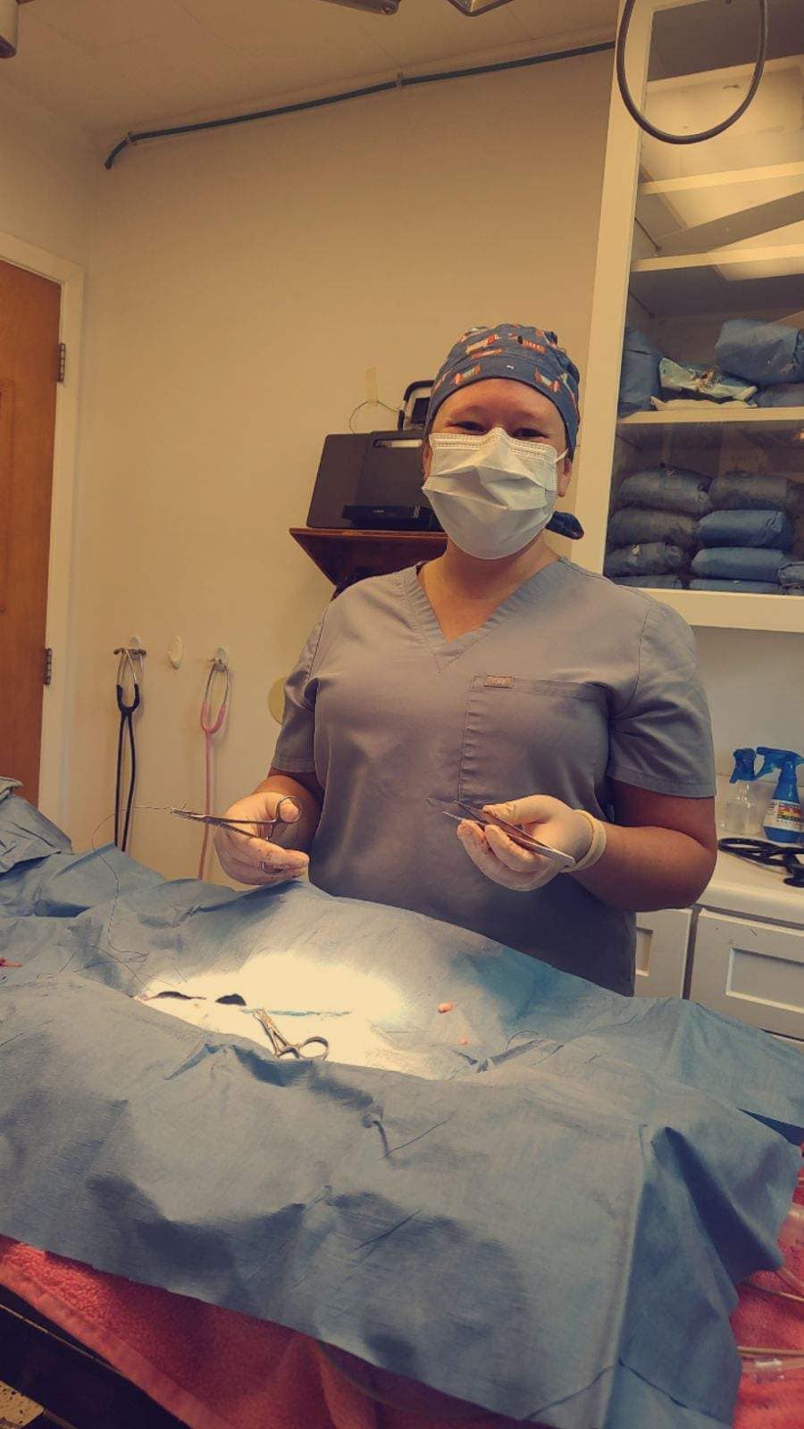 Hospital Tour Jackson Square Animal Clinic